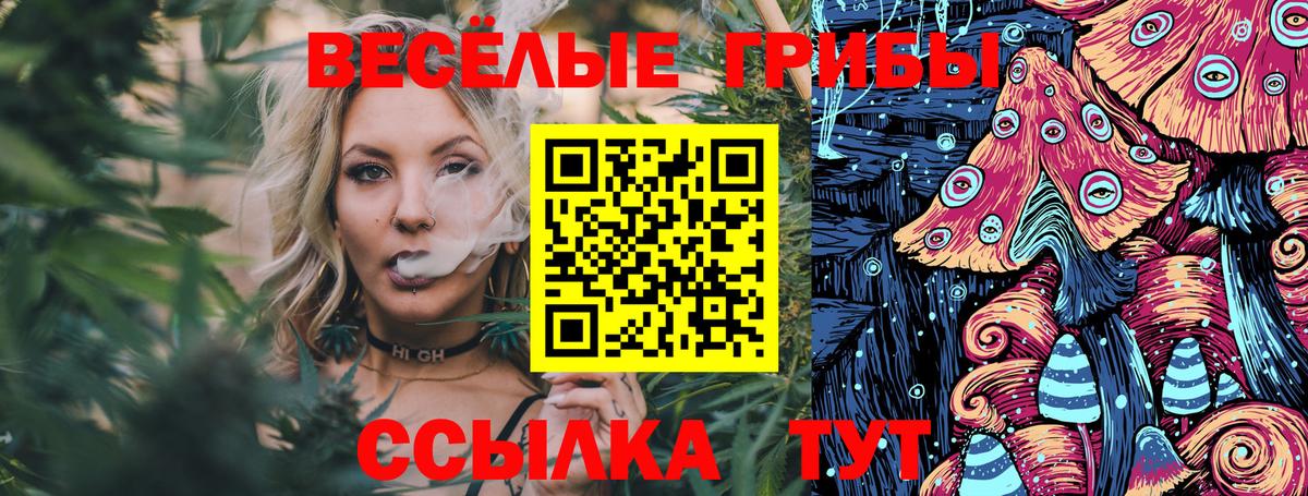 Галлюциногенные грибы Psilocybe  Вход с VPN  Рославль 