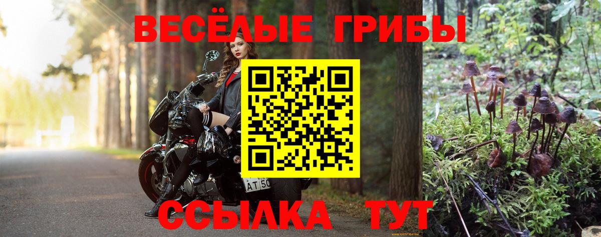 Галлюциногенные грибы GOLDEN TEACHER Рославль